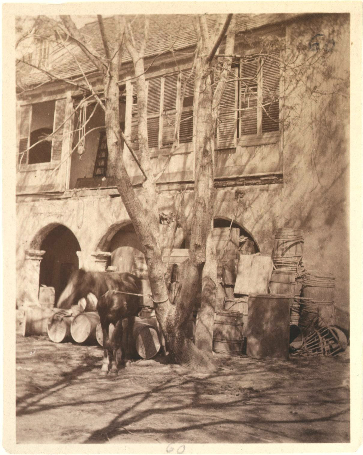 Segui-Kirby Smith House, St. Augustine, Florida