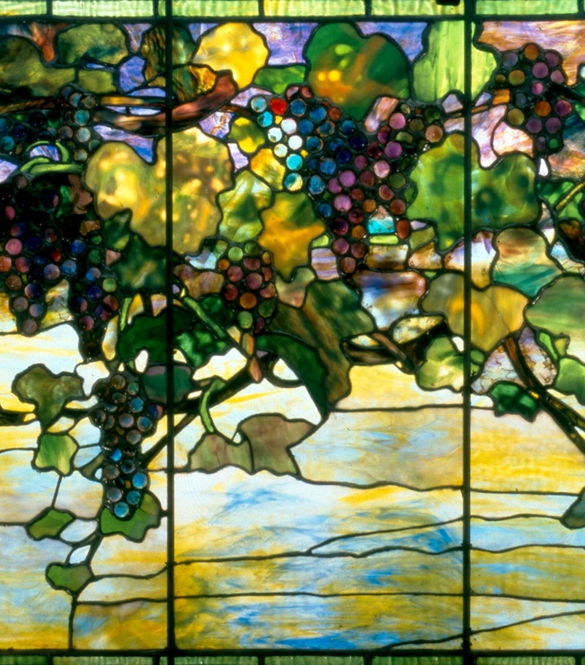 grape arbor window